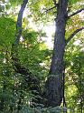 05102008 152857IMG1858